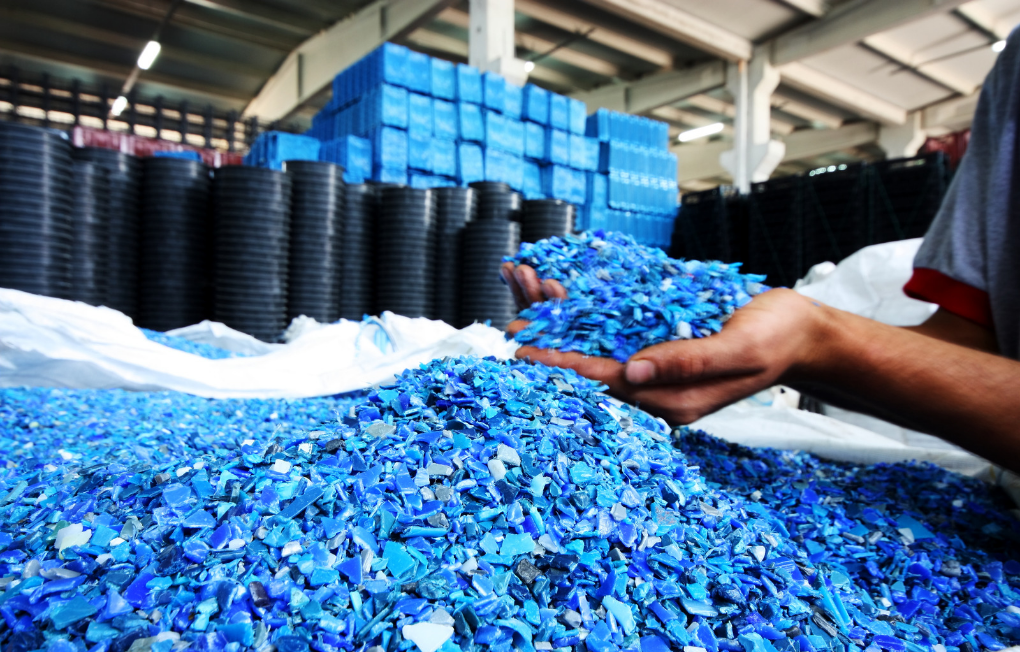 Criativos LGK_20240806_000232_0000.png